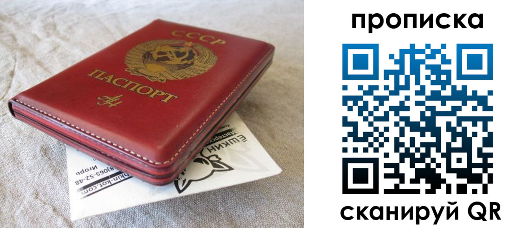 прописка для школы в Шумерле
